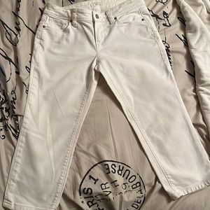 Ann Taylor Loft Bermuda shorts